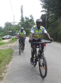 Since when is a rental car a ”public vehicle”?