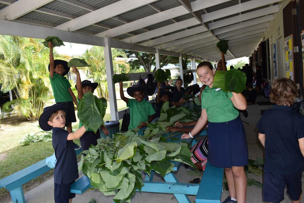 PVIS Sustainability Day