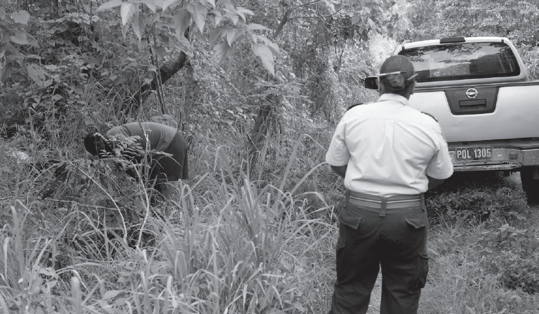 ALLEGED MURDER SUSPECT A PAROLEE