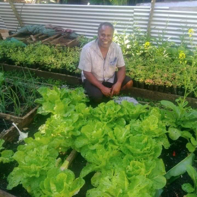 Increasing Primary Production through Backyard Food Garden Technology