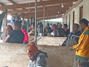 Kava shortage leaves Port Vila bars short as Santo farmers pull out