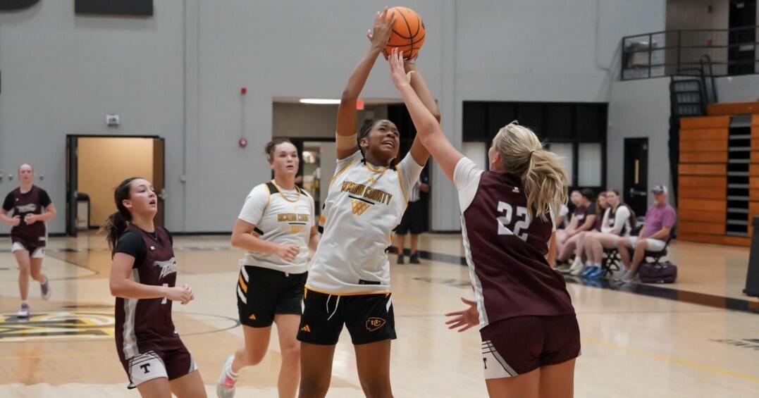 Lady Cherokees blending veteran talent, new pieces in summer