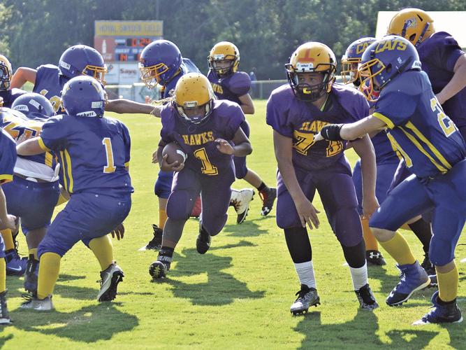 Local youth teams have solid day Sports