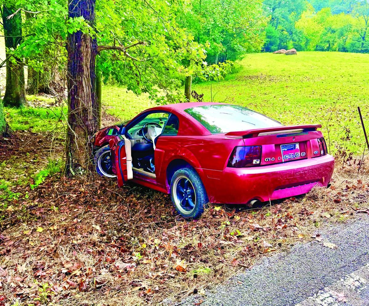 Tree Dash Driver injured after wreck with tree | News | dailypostathenian.com
