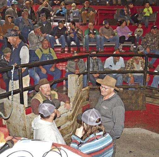 Athens stockyard reaches 85 years operating in community | News ...