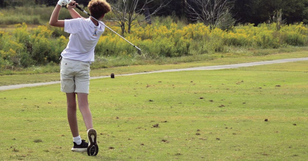 McMinn County's Gavin Riggs, Rayleigh Hawkins advance to region play ...