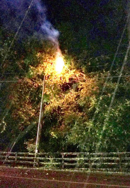 Downed power lines catch fire