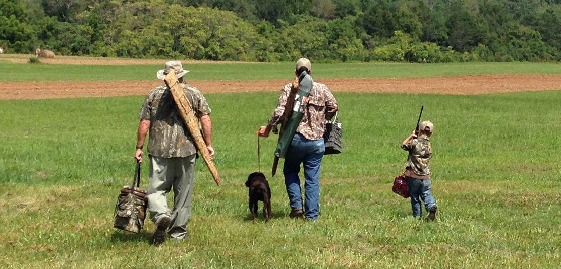 TWRA seeking fields to lease for dove season Sports