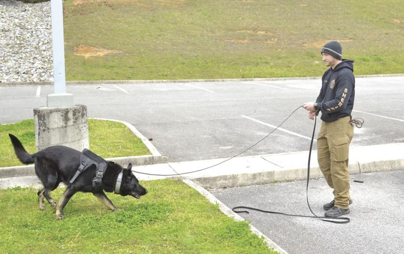 K9 Log K9 certifications held at McMinn County Sheriff's Department | News ...