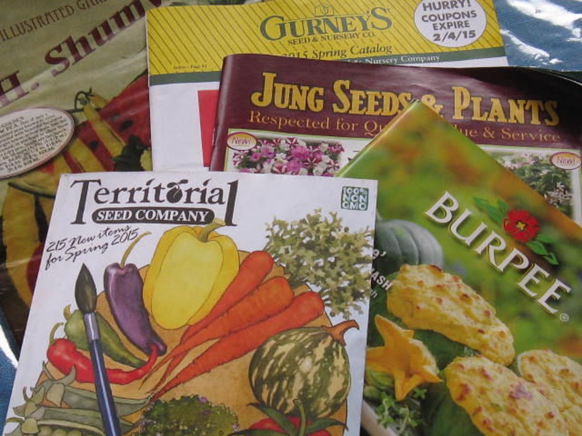 Seeds keep gardeners dreaming through the winter | Scrapbook ...