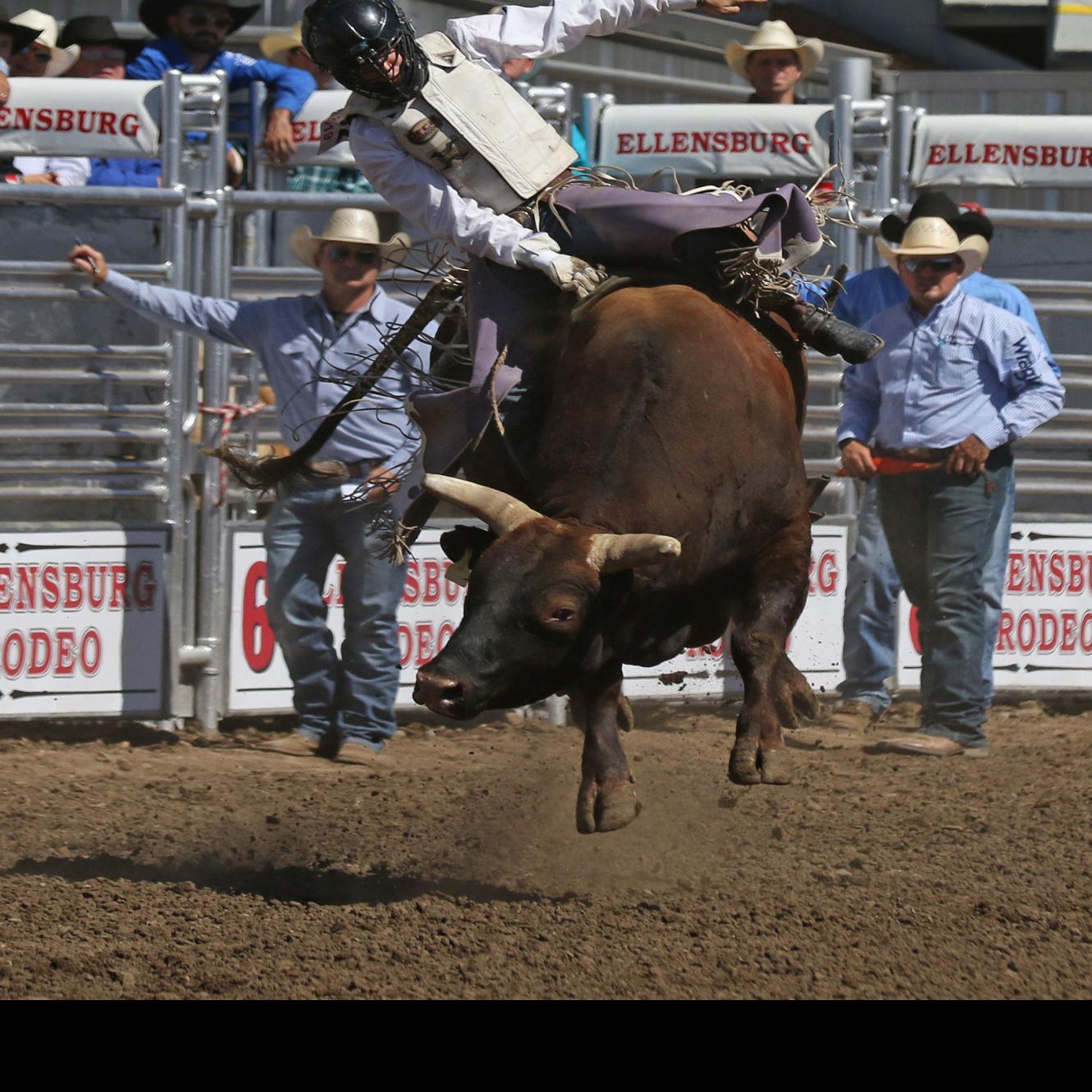Protective Vests Helmets Revolutionized The Sport Of Rodeo News Dailyrecordnews Com