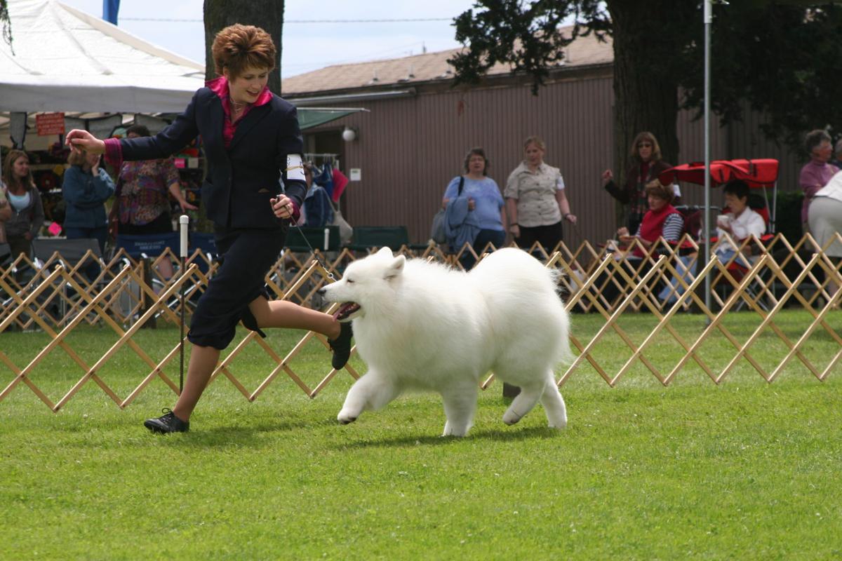 Yakima Valley dog show coming to Ellensburg June 34 News