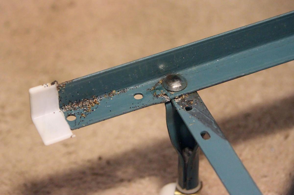 Bed Bugs On The Rise In Kittitas County, Bed Bugs In Bed Frame