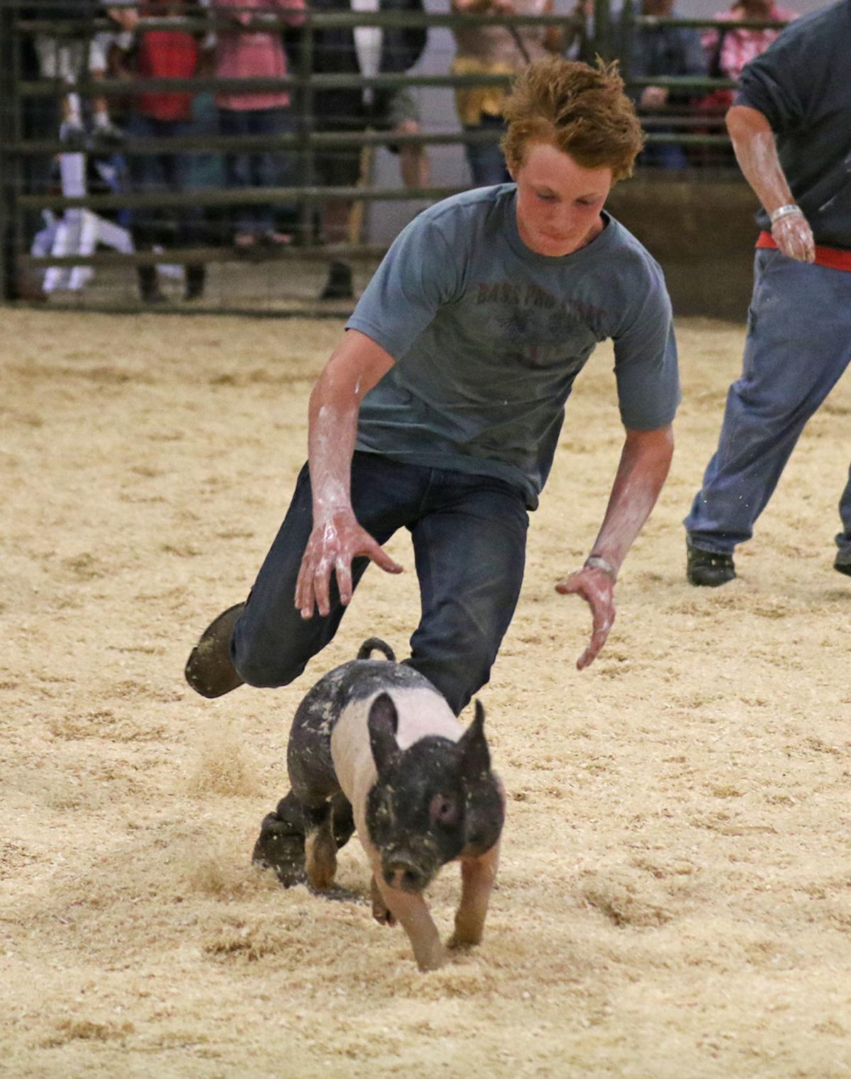 Grease Pig Contest Ellensburg