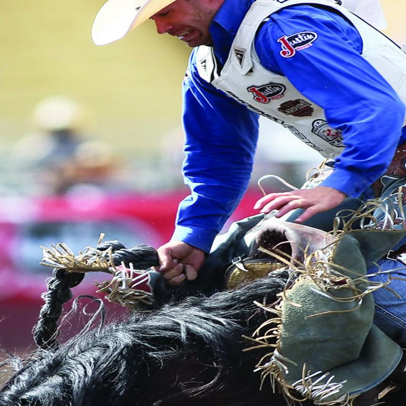 Cowboys Ropin And Ridin For A Record Payout Members