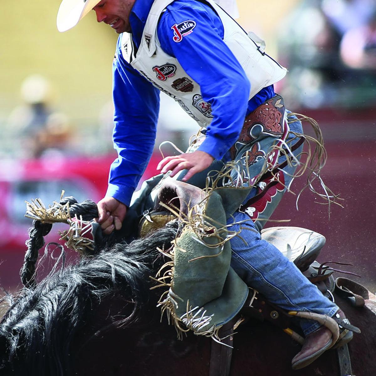 Cowboys Ropin And Ridin For A Record Payout Members