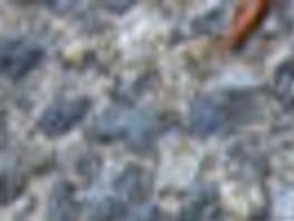 Morel Map 2022