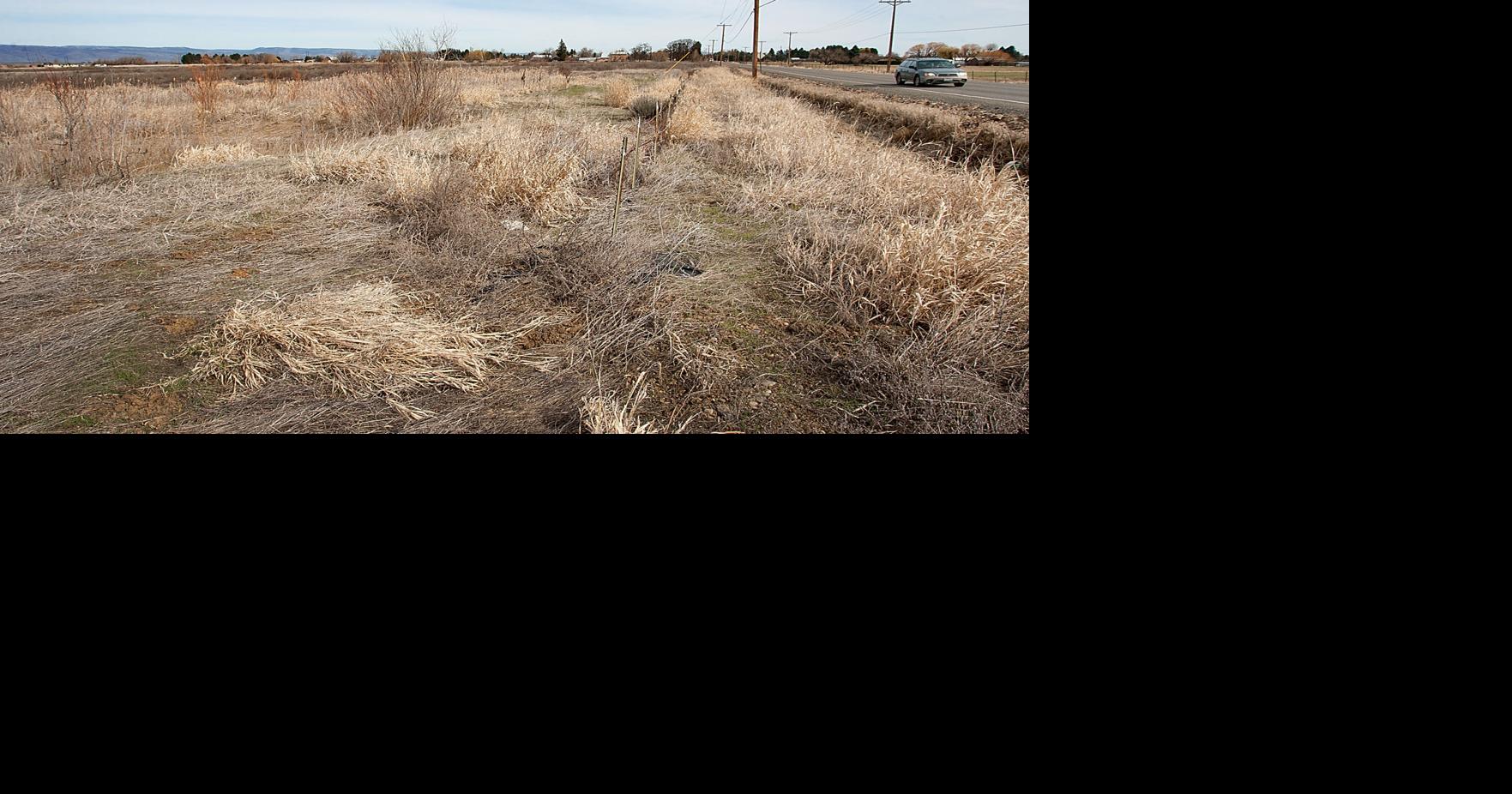 Development project plans 354 lots north of Ellensburg Members