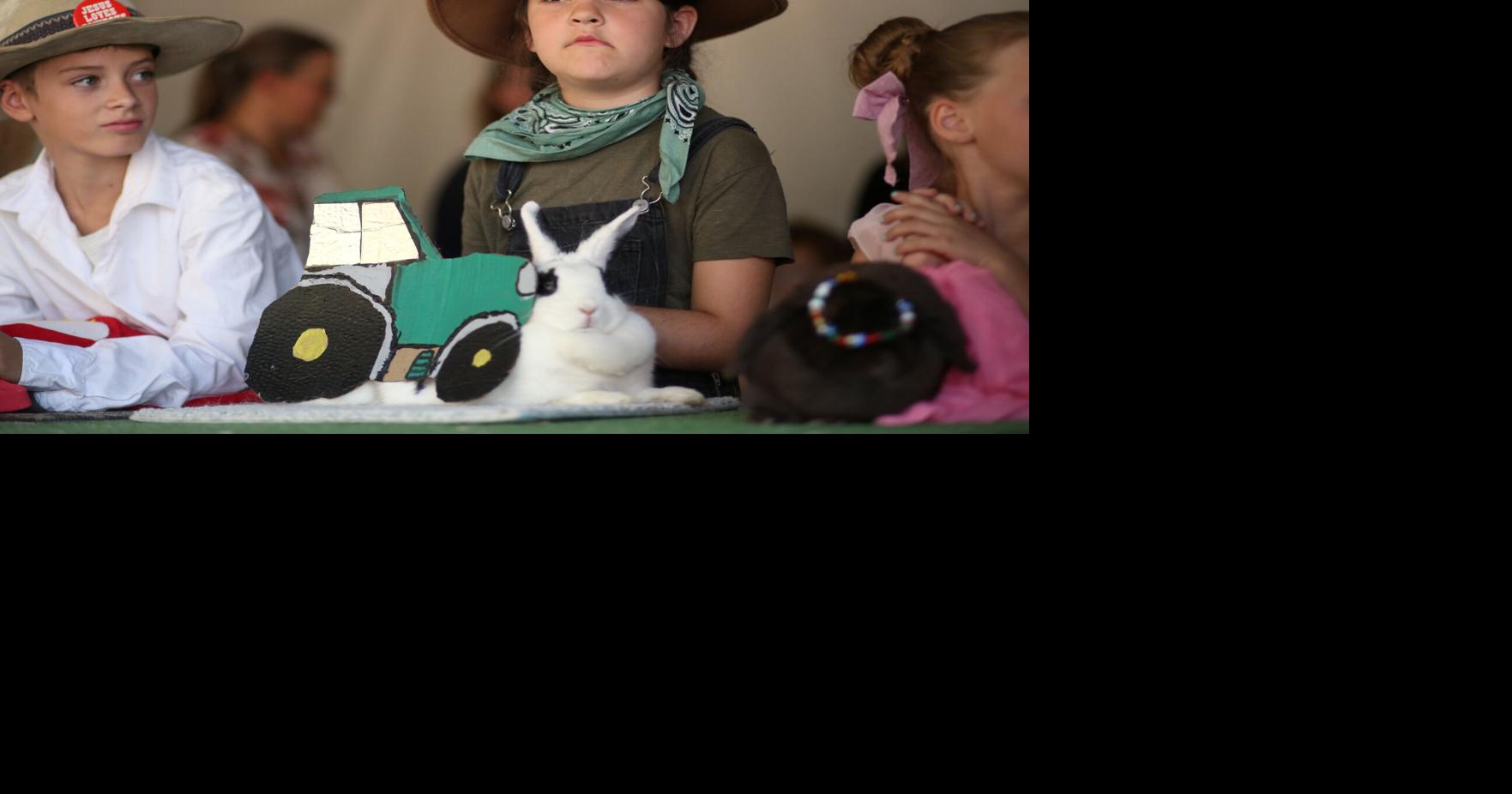 Food, fun and family packs them in at the Kittitas County Fair