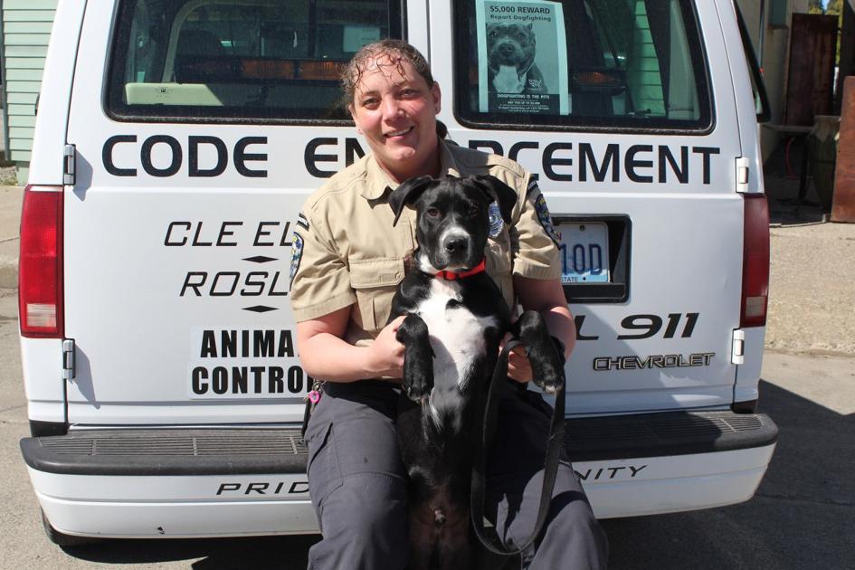 Animal control officer jobs in ohio