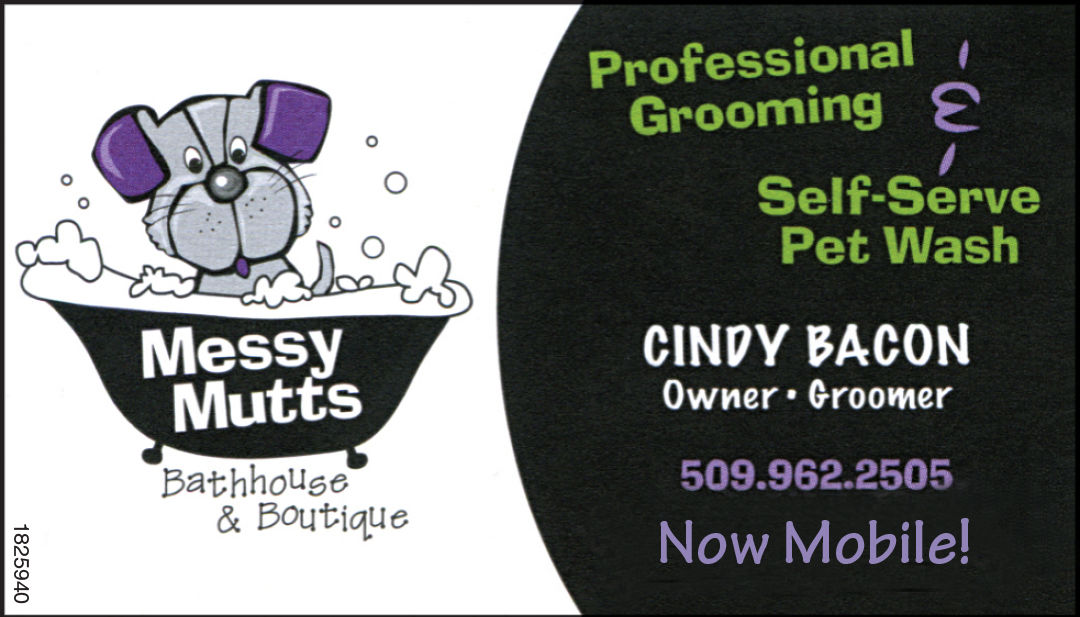 messy mutts mobile grooming