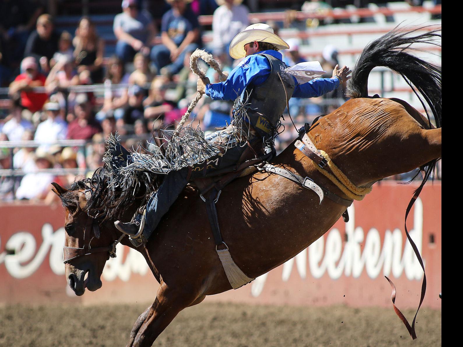 64th Wrangler National Finals Rodeo showcases its star power | Ellensburg |  