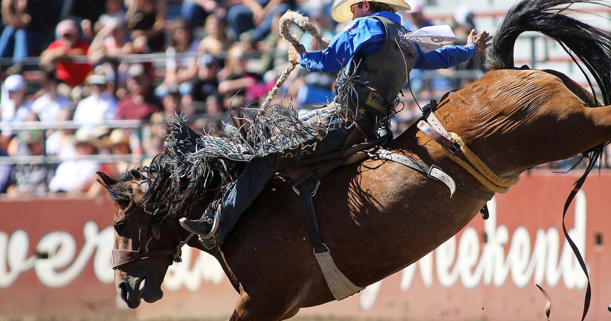 64th Wrangler National Finals Rodeo showcases its star power ...