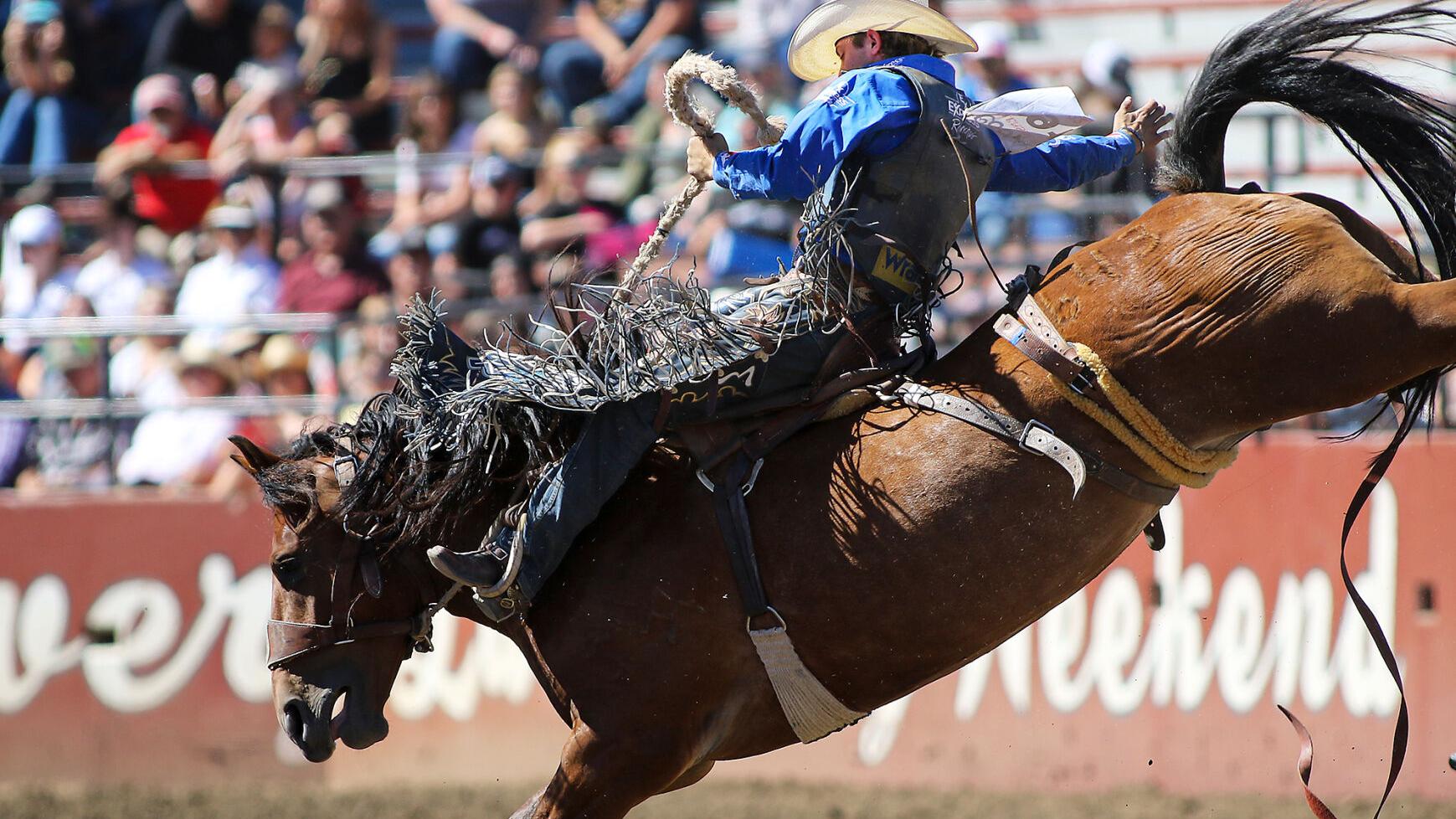 Ellensbr Rodeo Ellensburg Rodeo | dailyrecordnews.com