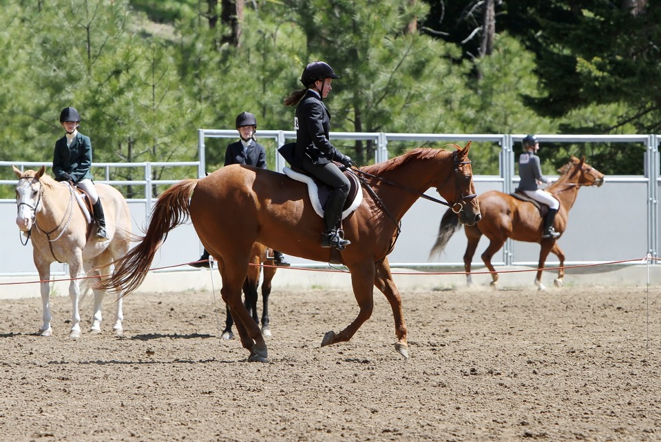 Washington State Horse Park has full slate from now to September Top