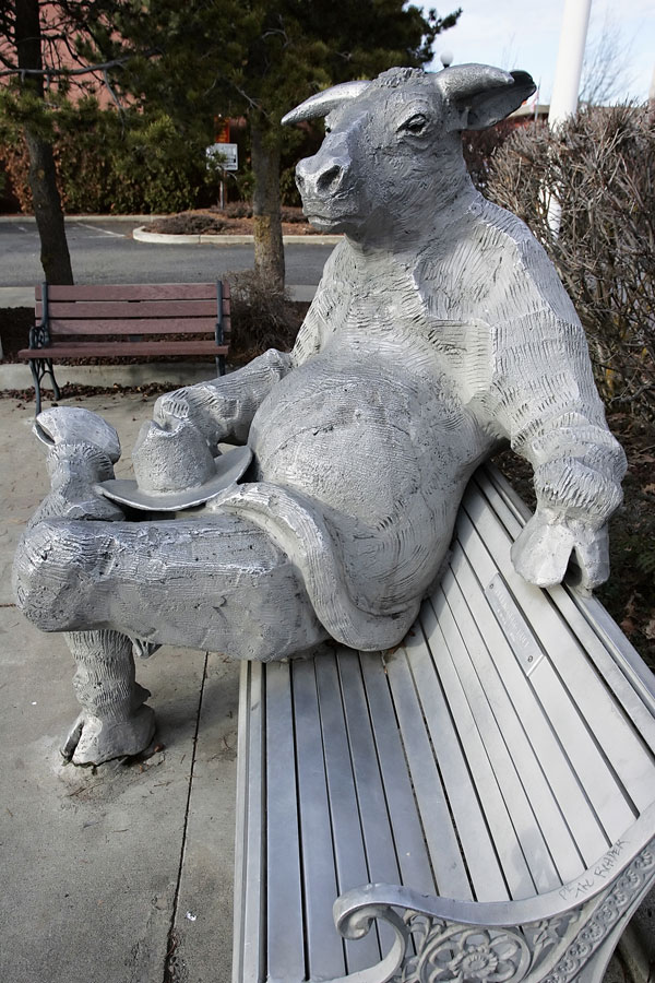 Ellensburg's bull statue arrived amid lively debate News