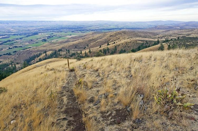 Manastash Ridge: Popular hike a focal point for community | Top Story ...