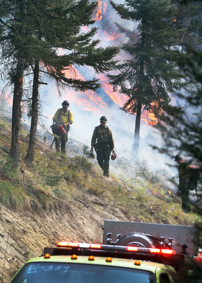 Burnouts part of the effort to contain Table Mountain Fire News