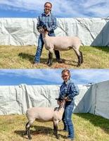 Jordan Smith-Breeding Ewe
