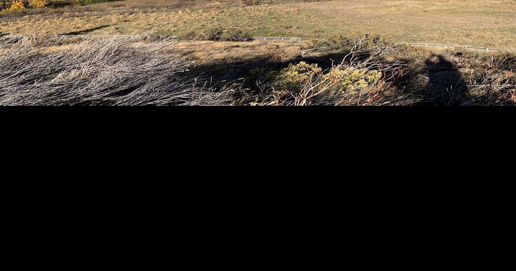 Springwood Ranch land transfer gets unanimous approval from Washington ...