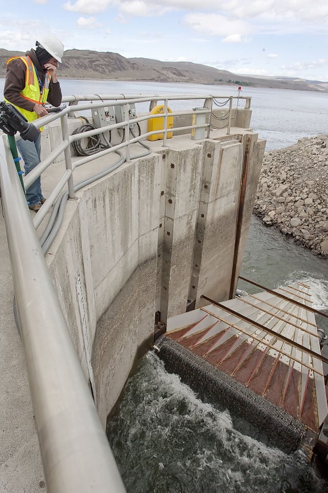 Wanapum Dam fish ladder modifications for salmon Members