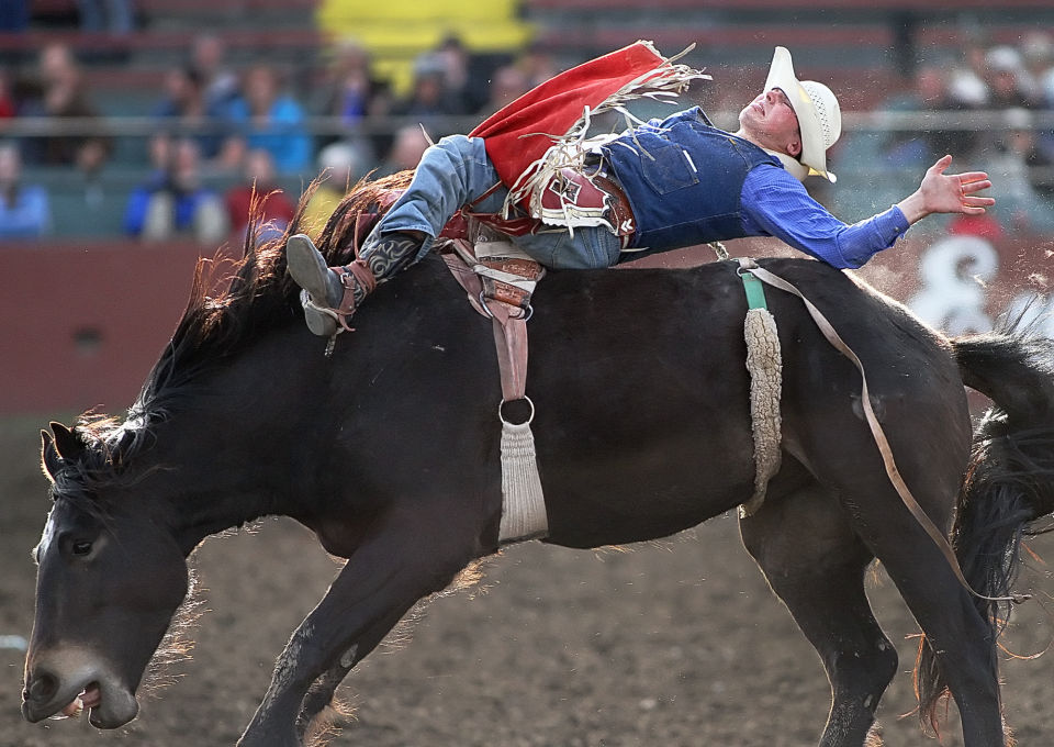 College rodeo: Ropers Palmer and Minor notch victory | Sports