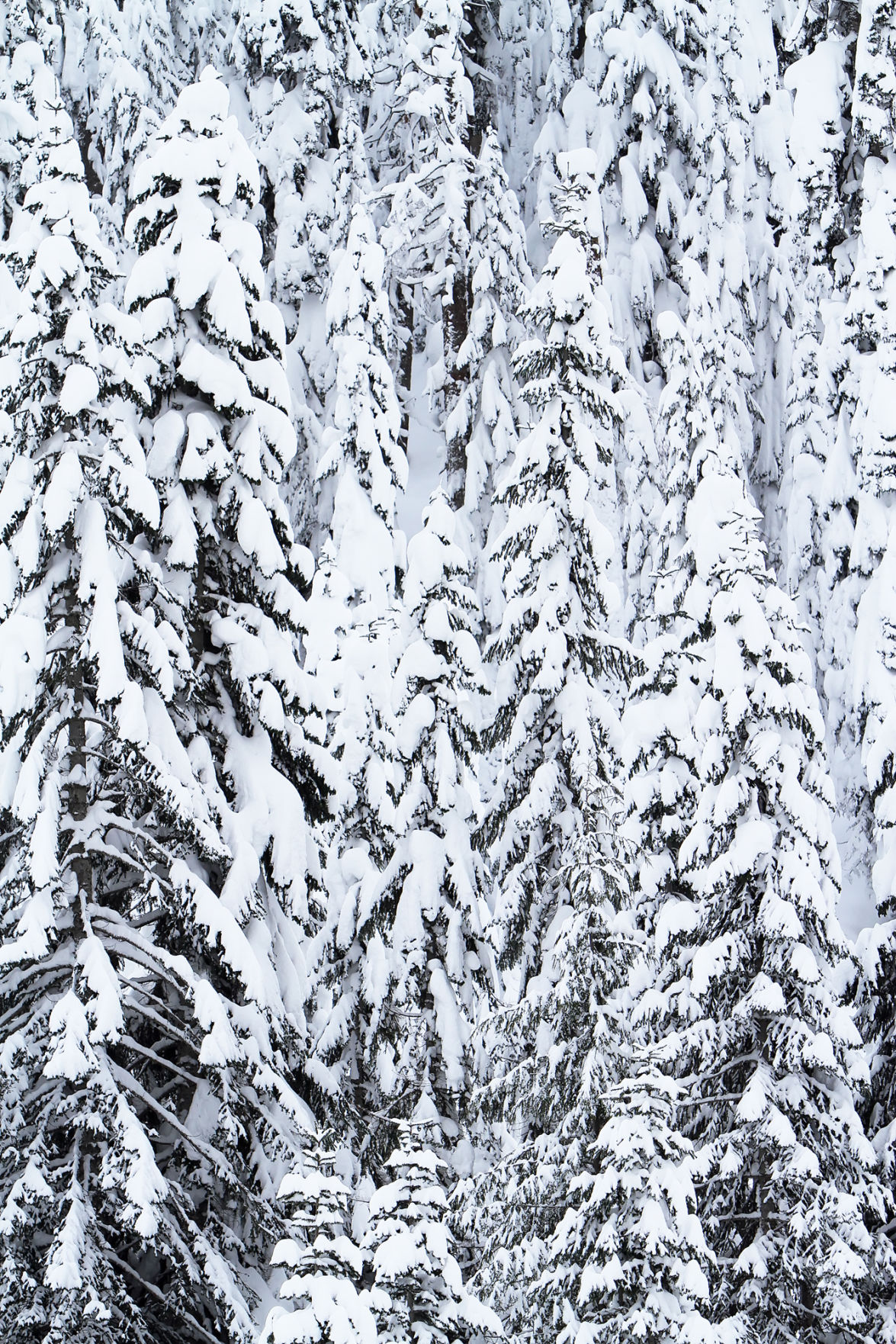 snoqualmie screensaver serial killers snoqualmie screensaver serial killers