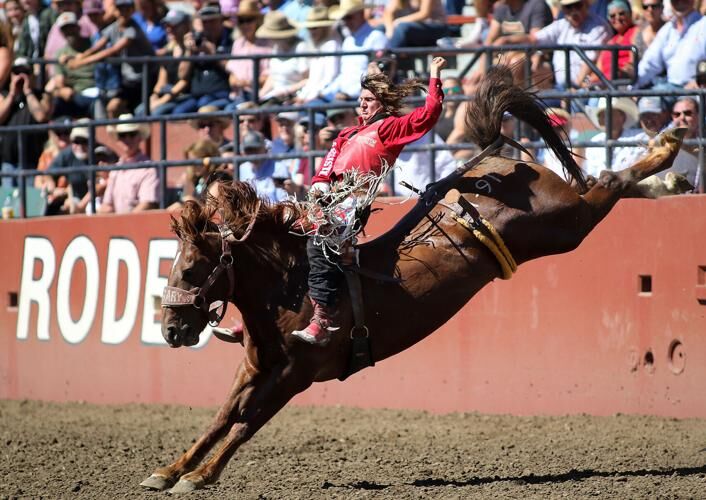 Bull Rider Rocker Steiner Star power — Rocker Steiner, Brody Cress lead an all-star cast of ...