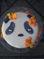 Chloe Mattson-Panda Cake