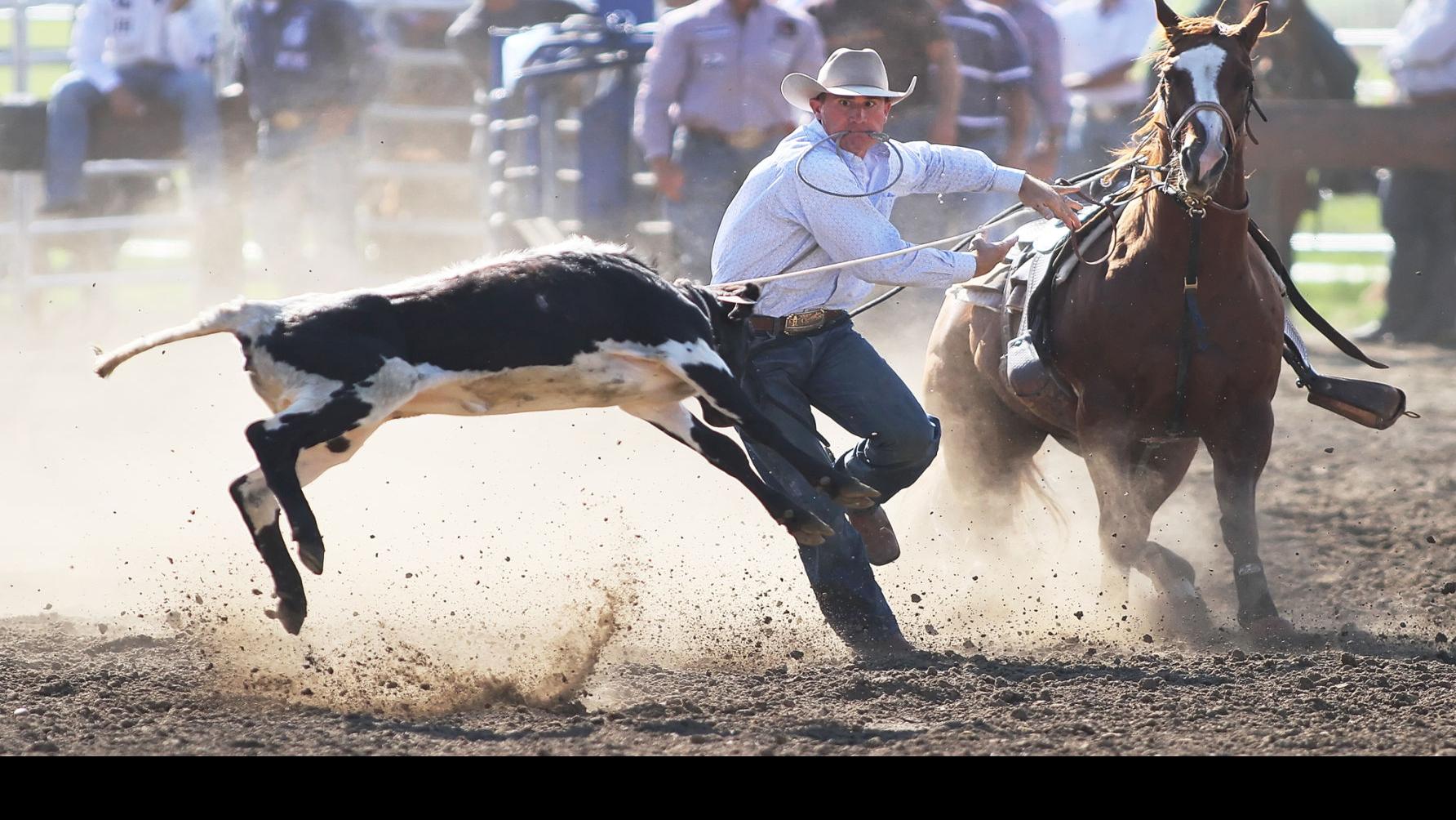 Minor Cooper Win Weststar Brazil S Costa Wins Calf Roping Members Dailyrecordnews Com