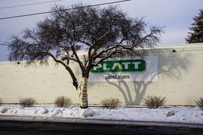 Platt Electric No Longer Seeking To Uproot Fifth Avenue Tree