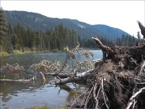 alpine lakes wilderness easy hikes