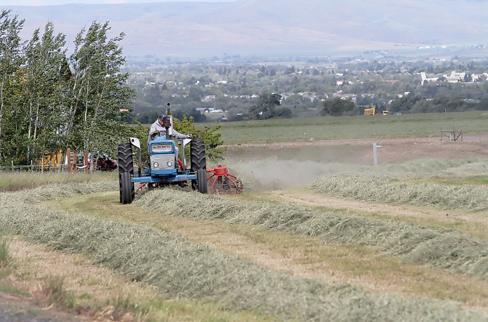Hay cutting Photo Gallery