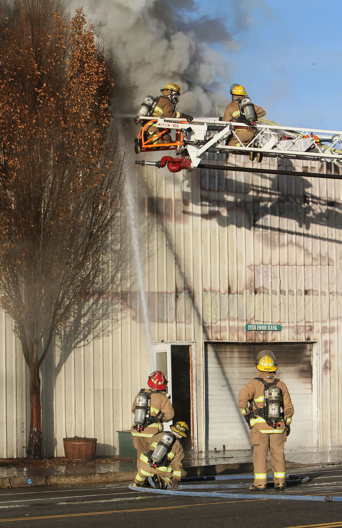 Fish food bank fire News