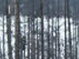 Salvage Timber Sale Follows Table Mountain Fire Top Story Dailyrecordnews Com