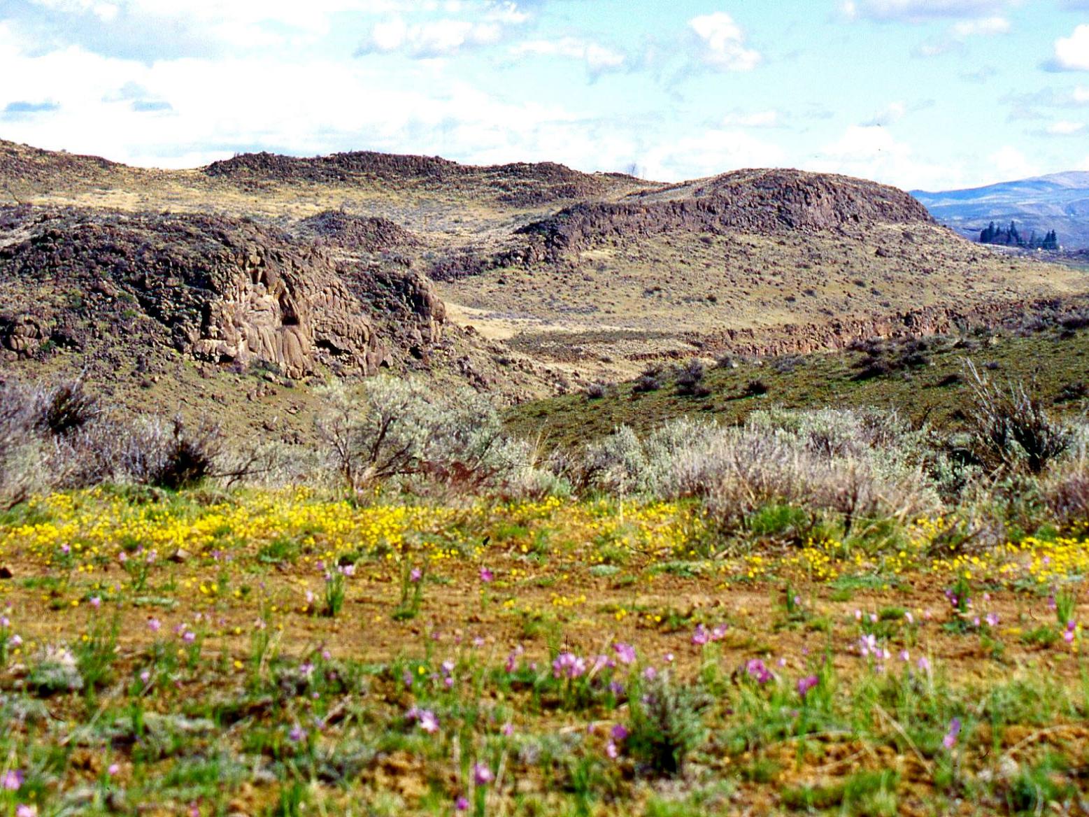 Winter Hiking In Yakima Outdoors Dailyrecordnews Com