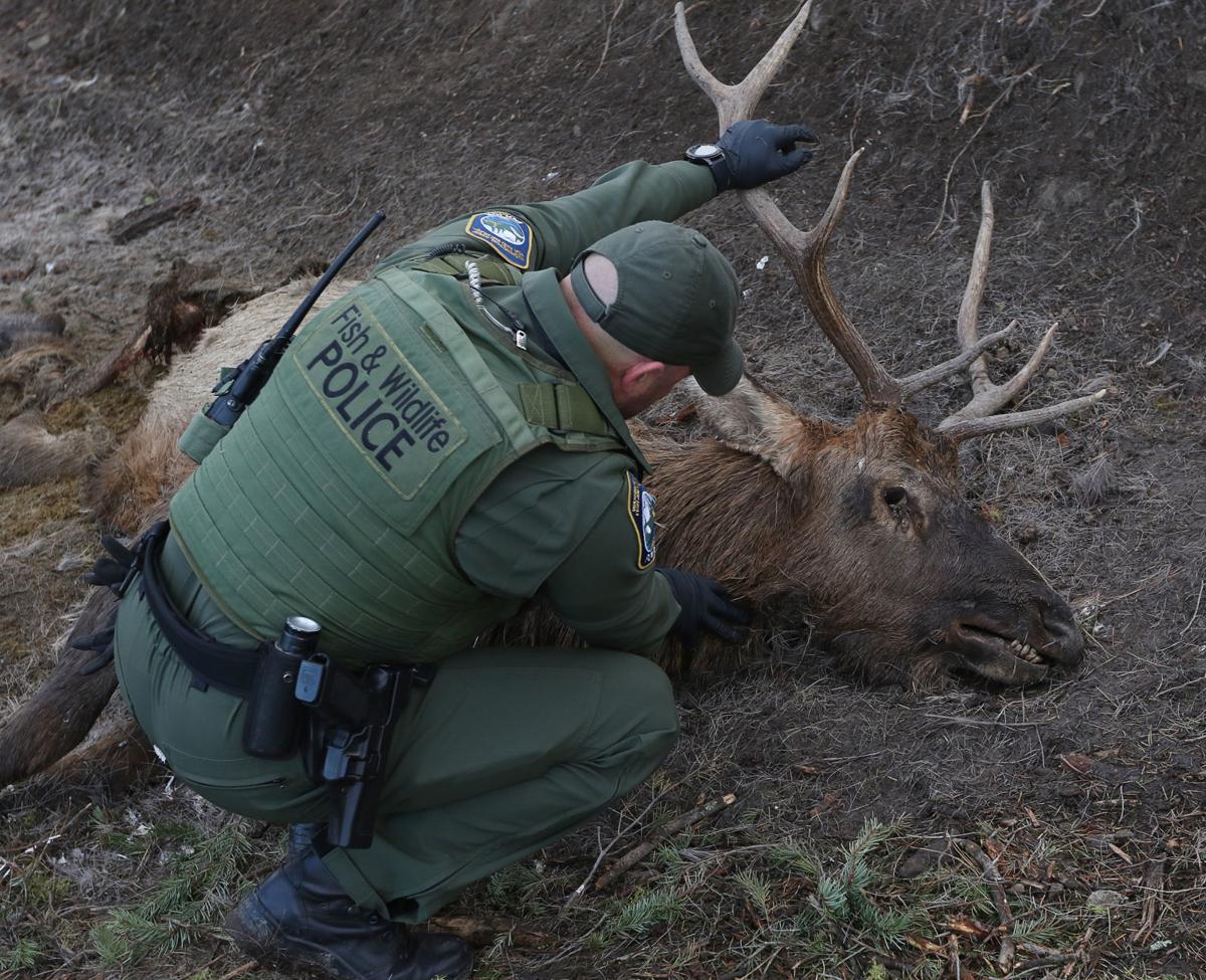 Washington State Police Fish and Wildlife Investigate The Death Of Two