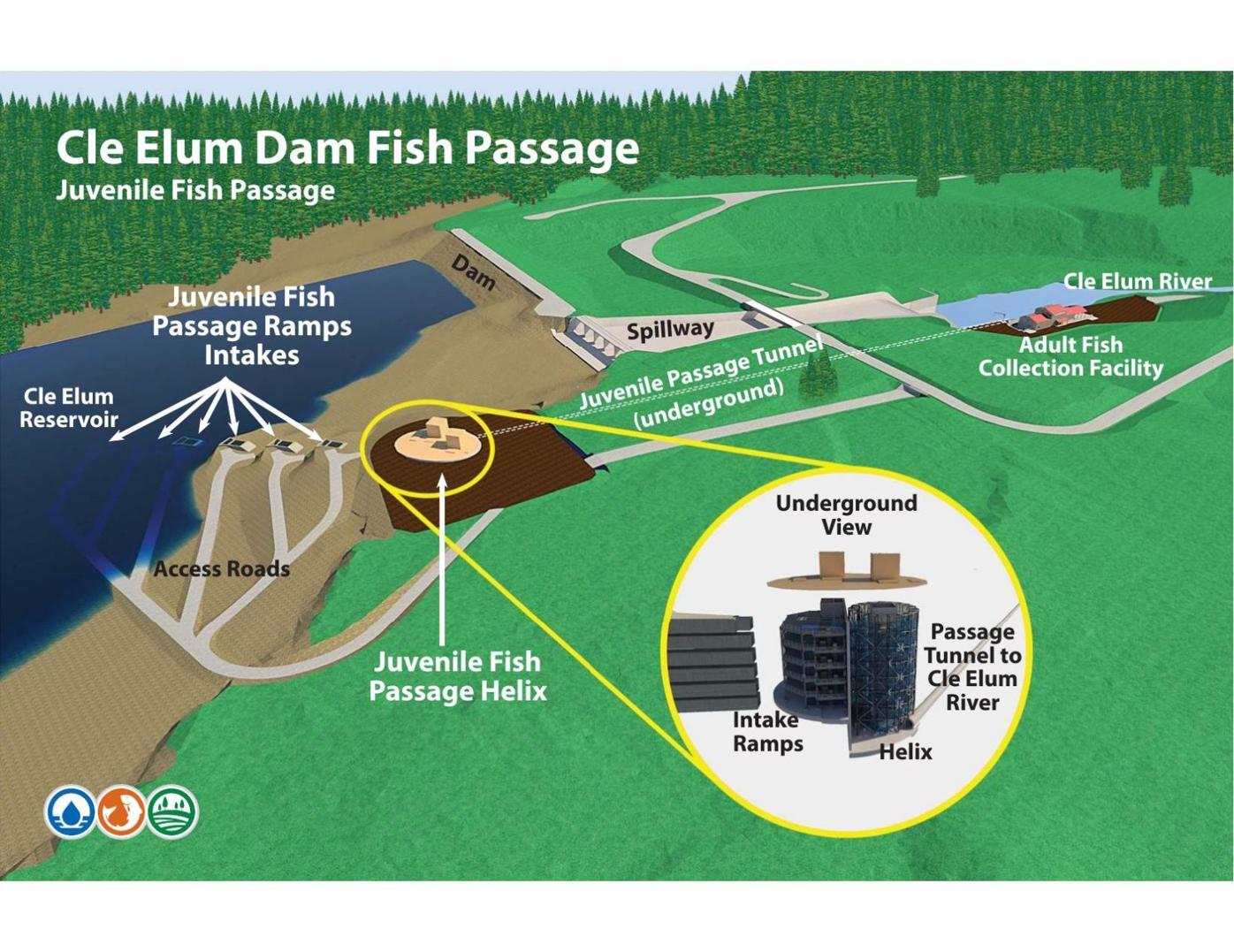 Cle Elum fish passage