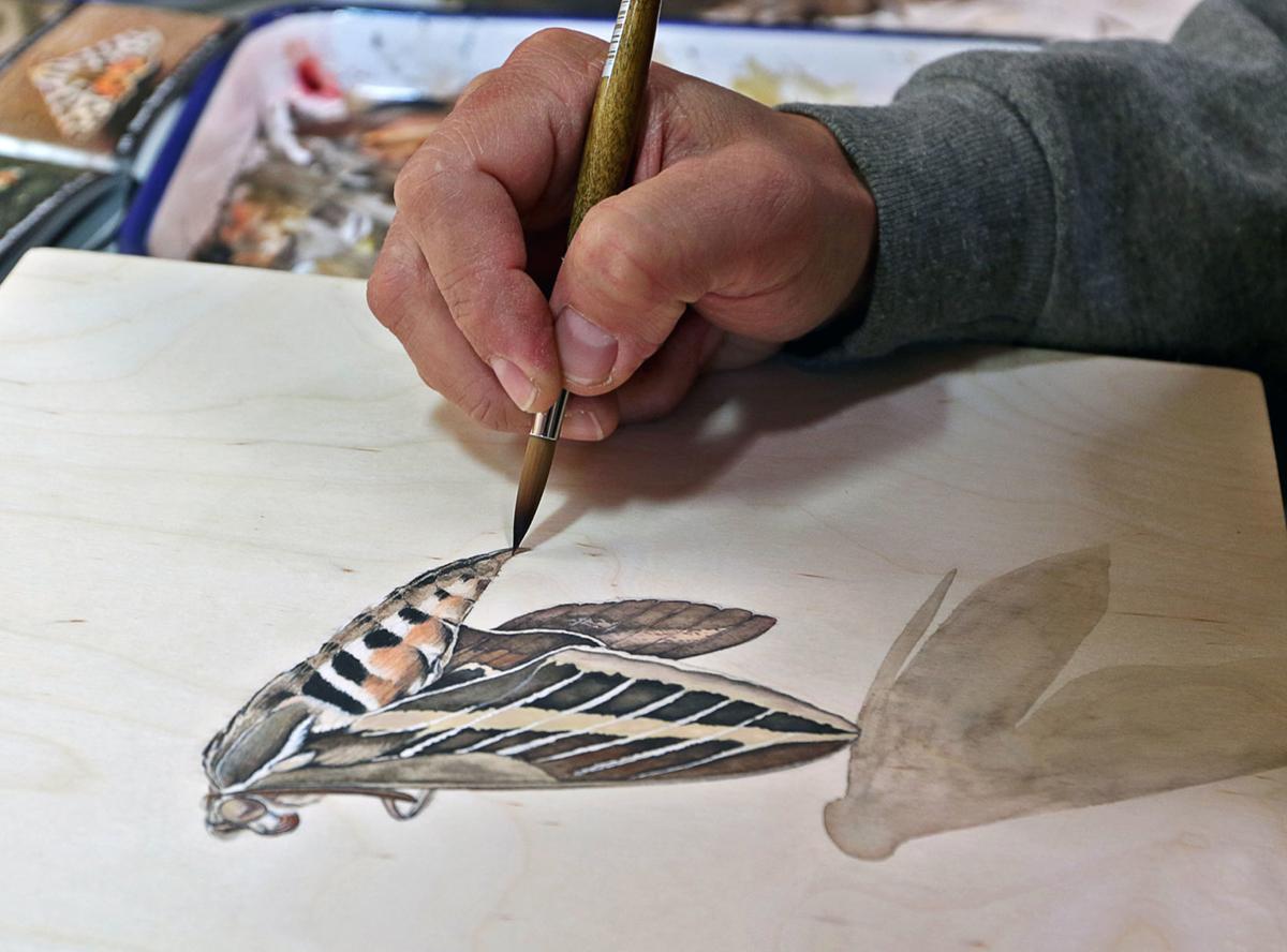 Thorp Artists Illustrations Showcased In Recently Released