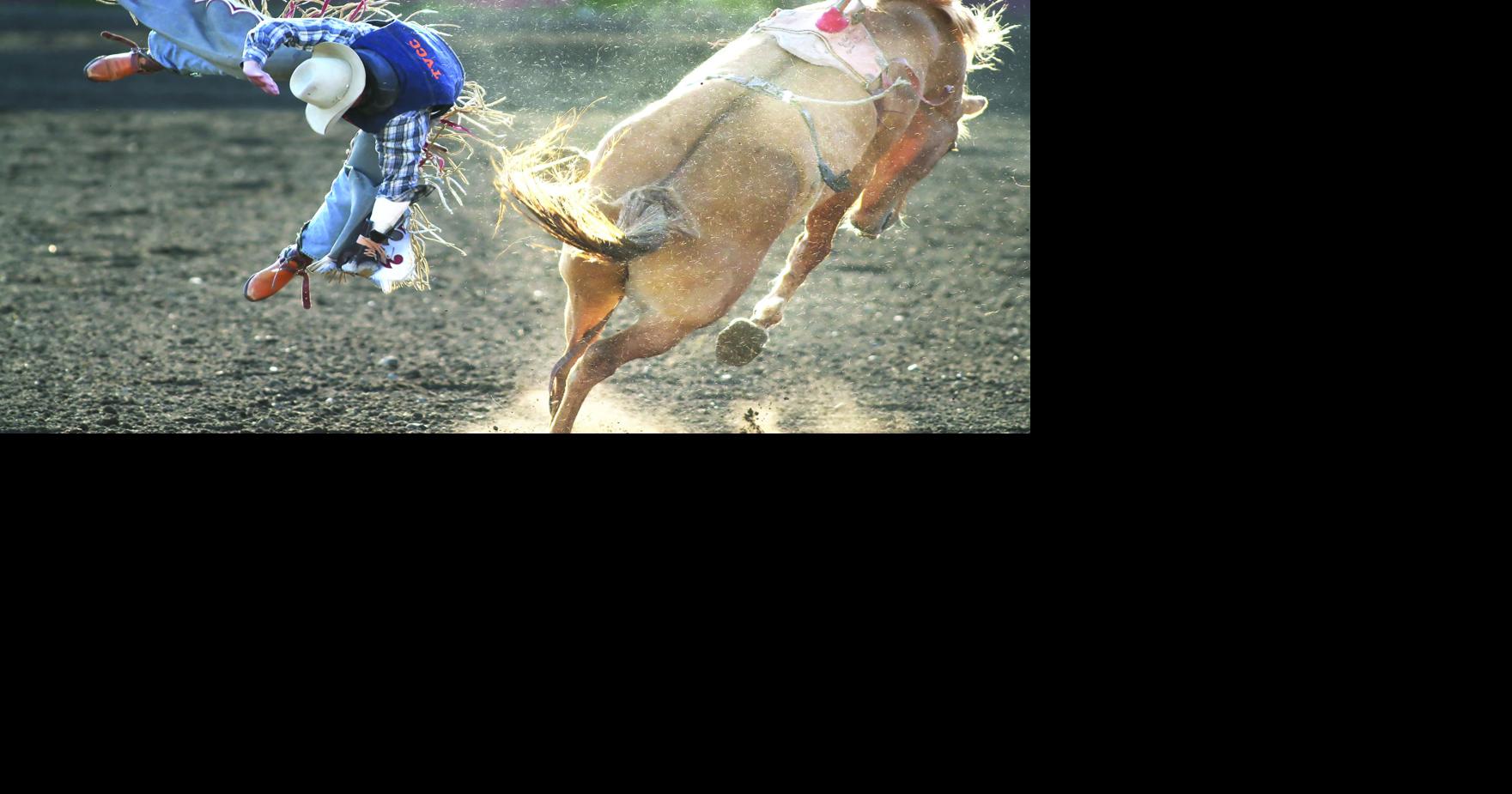 CWU college rodeo team building a competitive squad | Members ...